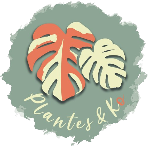 plantes&ko logo